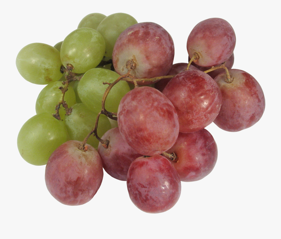 Grape Png - Grapevines Transparent Png, Transparent Clipart