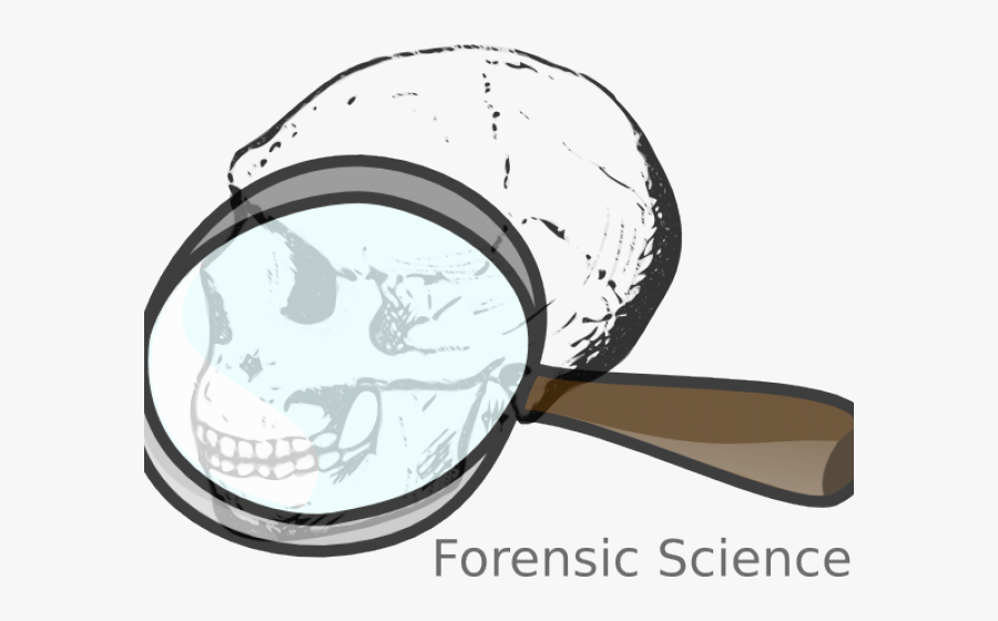 Forensics Cliparts - Forensic Science Clip Art, Transparent Clipart