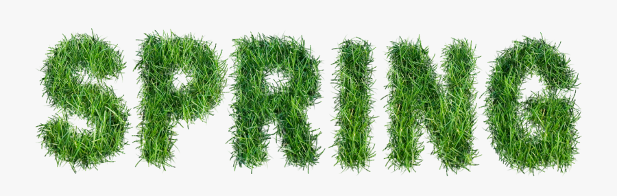 Spring With Grass Text - Spring Text Png, Transparent Clipart