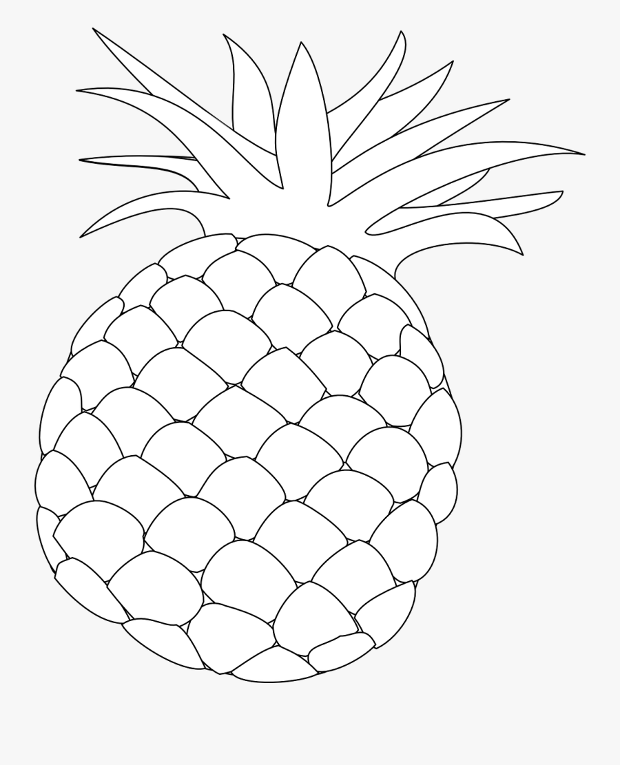 Transparent Pineapple Clipart Outline - Pine Apple Images Clipart Black And White, Transparent Clipart