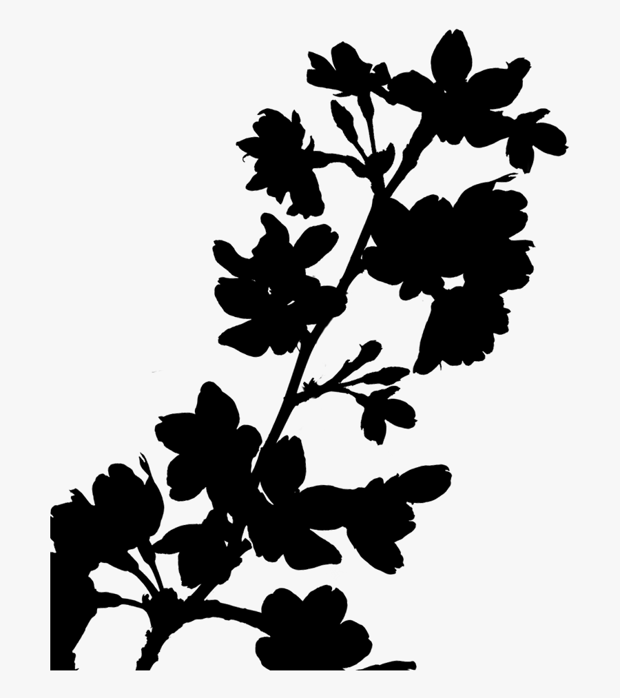 Clip Art Leaf Silhouette Plant Stem Family M Invest - Silhouette, Transparent Clipart
