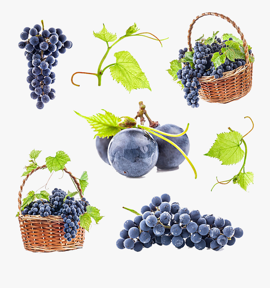 Grapes Basket Png, Transparent Clipart