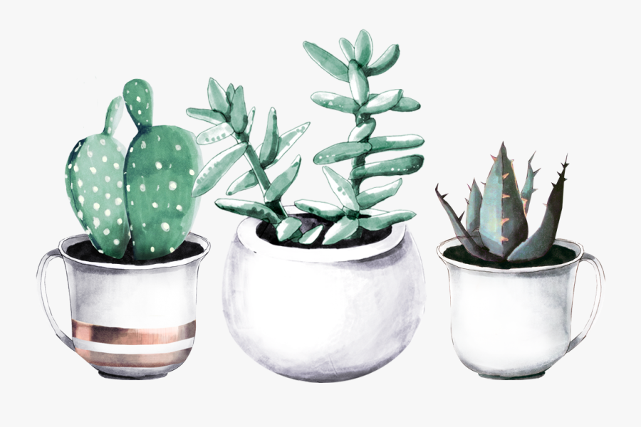 Cactuses In Pots - Watercolour Succulent Plants Paintings , Free