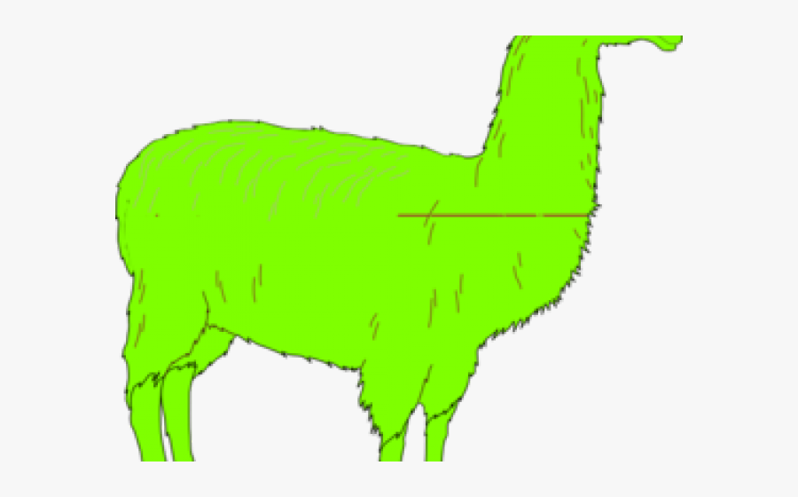 Llama, Transparent Clipart