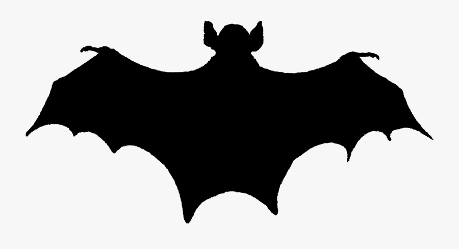 Cool Bat Tattoos Designs, Transparent Clipart