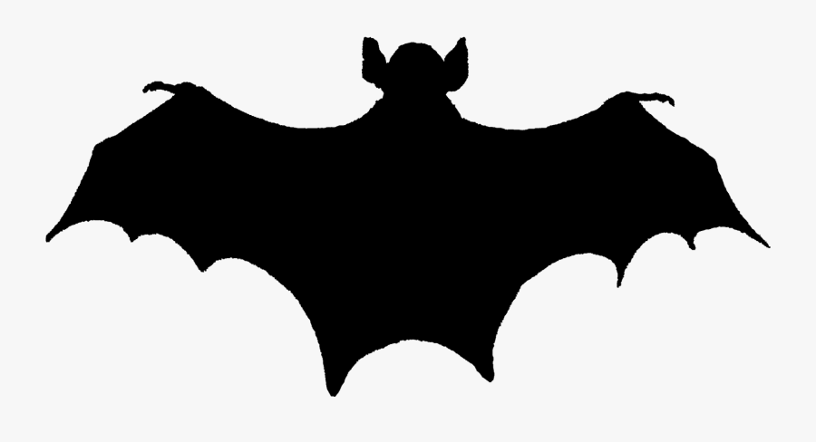 Cool Bat Tattoos Designs , Free Transparent Clipart - ClipartKey