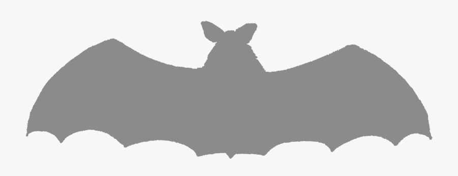 Bat, Transparent Clipart