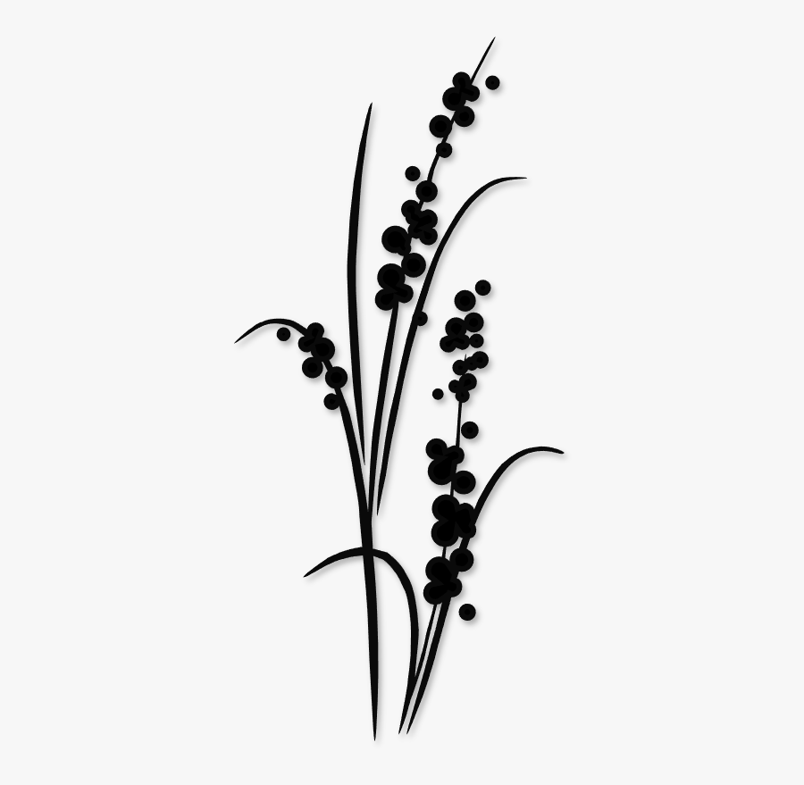 Dandelion Clipart Silhouette - Tall Flowers Silhouette, Transparent Clipart