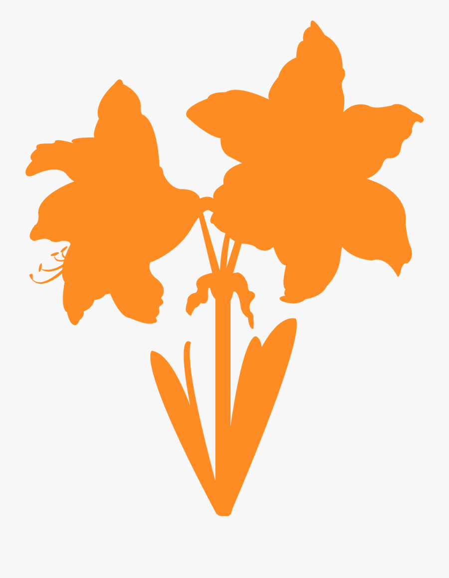 Amaryllis Flower Silhouette, Transparent Clipart