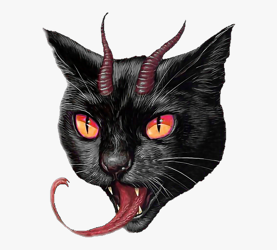 #evilcat #cat #kitty #evil #creepy #scary #awesome - Black Cat Tatto Png, Transparent Clipart