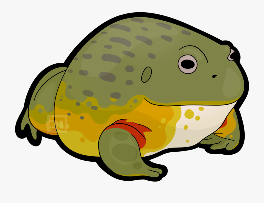 Pixie Frog Fat African Bullfrog, Transparent Clipart