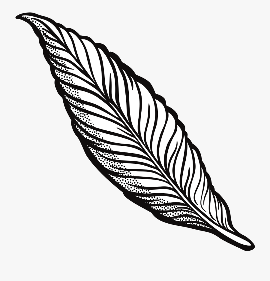 Feather - Lineart - Feather Clipart Black And White, Transparent Clipart