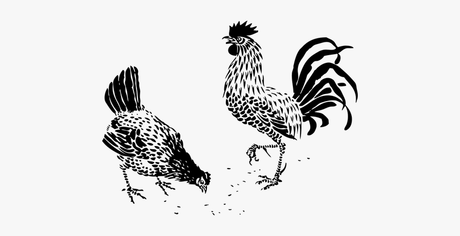 Hen And Rooster Graphics - Black And White Chicken Designs, Transparent Clipart