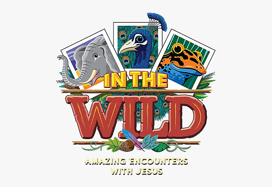 2019 Vbs Lifeway Themes , Free Transparent Clipart - ClipartKey