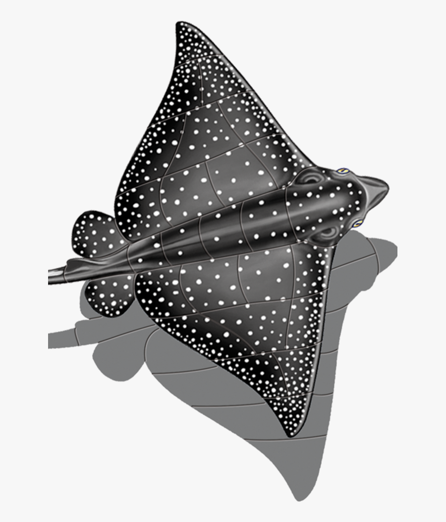 Realistic Spotted Eagle Ray Drawing , Free Transparent Clipart ClipartKey
