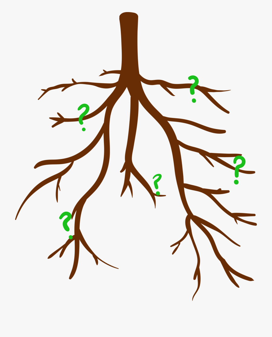 Take A Climb Up Your Family Tree"
 Class="img Responsive - Illustration, Transparent Clipart