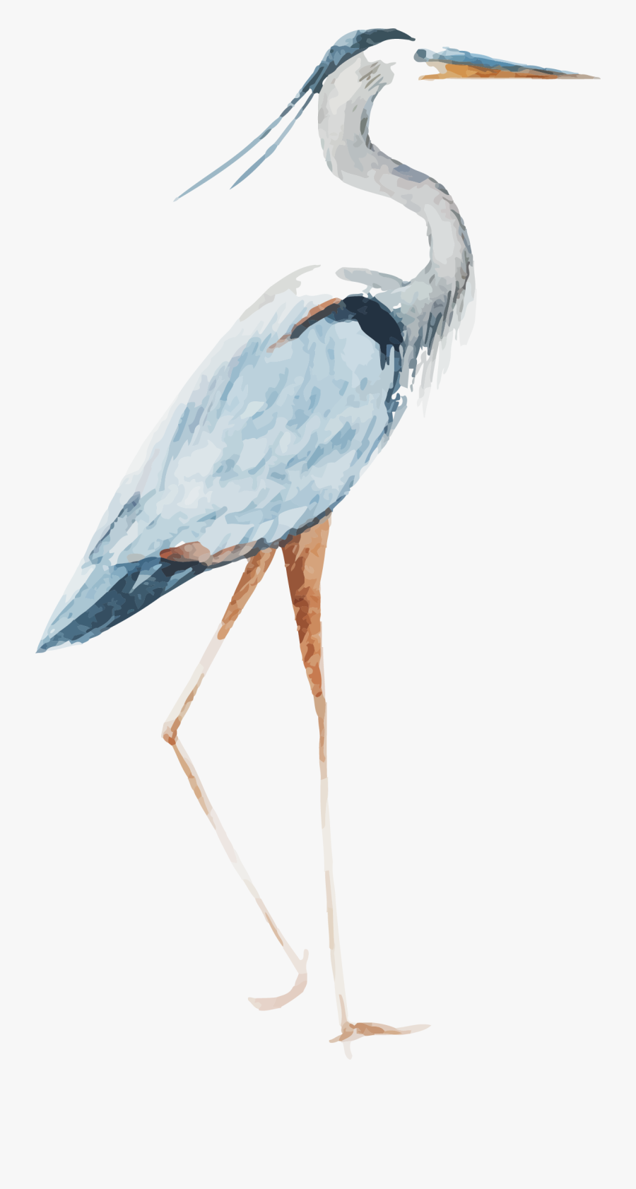 Heron Watercolor - Cranes Bird Vector Png, Transparent Clipart