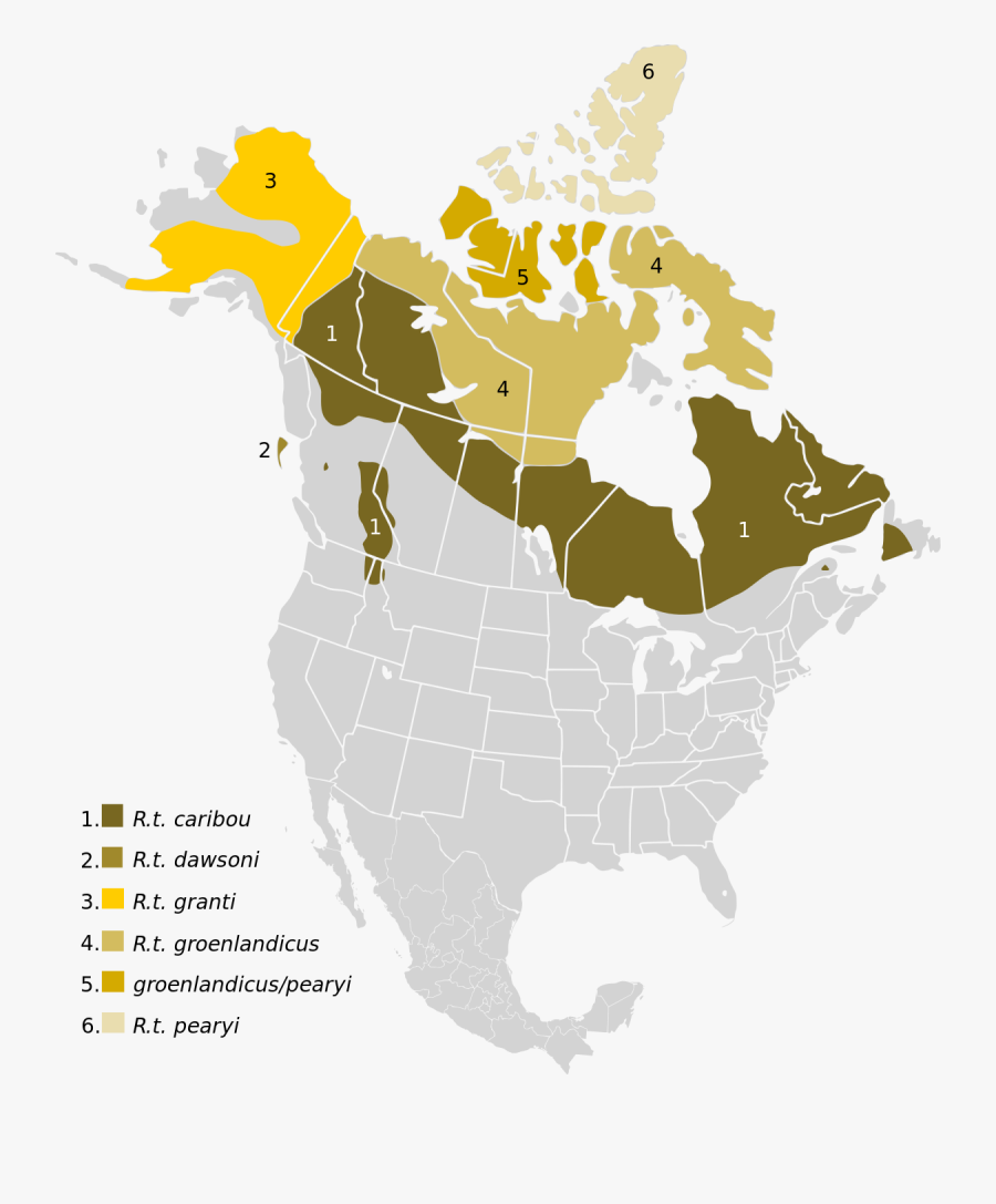 Caribou Range North America, Transparent Clipart