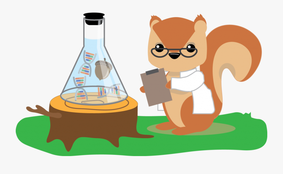 Squirrel Scientist Looking At Direct To Consumer Genetic - Cartoon, Transparent Clipart