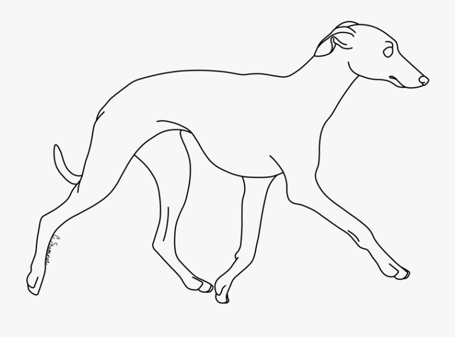 Whippet Italian Greyhound Line Art Dog Breed Drawing - Galgo Español, Transparent Clipart