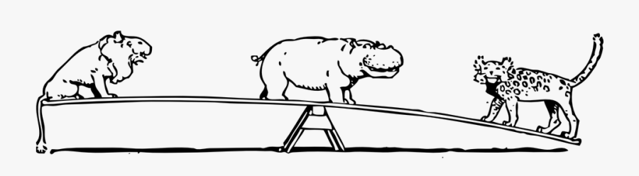 Animals, Seesaw, See, Saw, Balance, Lion, Hippo - Animals On A Seesaw, Transparent Clipart