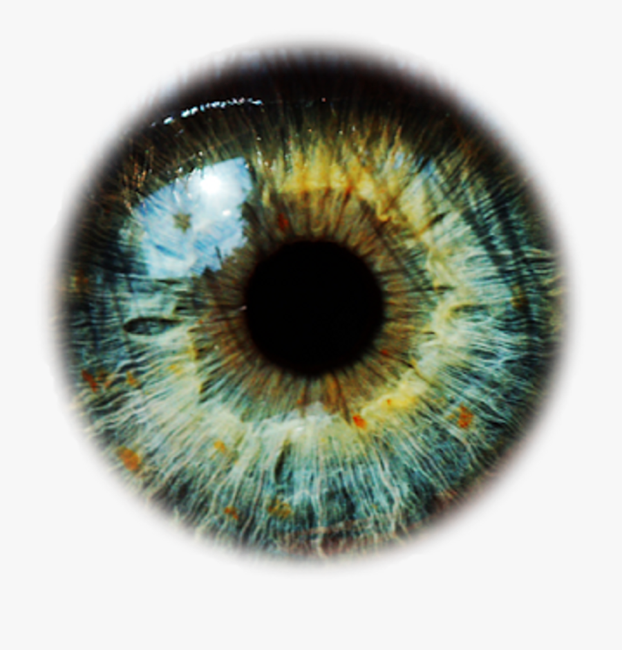 Green Eyes Png - Green Eyes Lens Png, Transparent Clipart