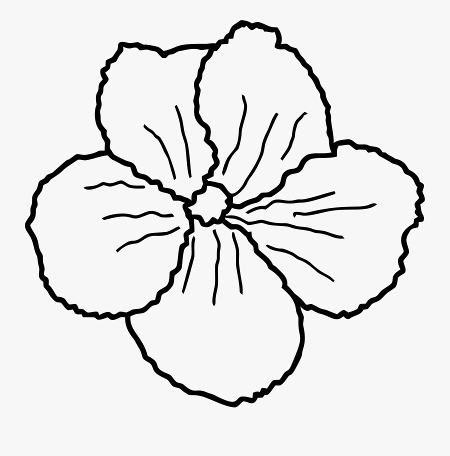 Transparent Flower Sketch Png - Sketch, Transparent Clipart