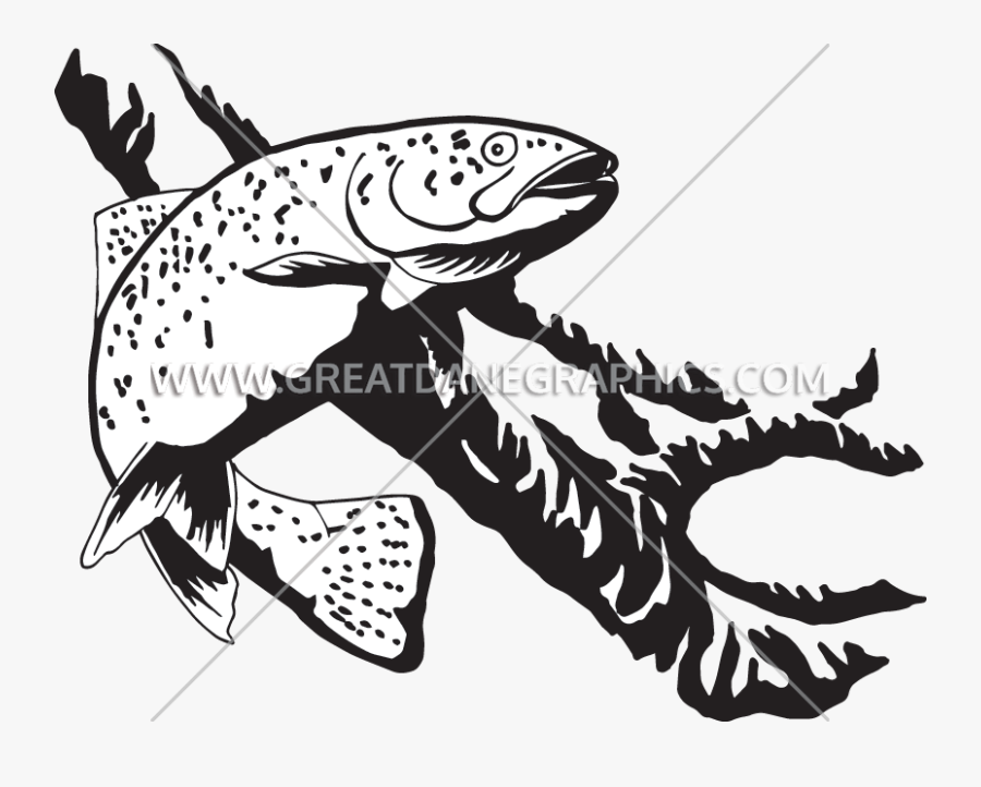 Rainbow Production Ready Artwork - Rainbow Trout Black White Clipart, Transparent Clipart