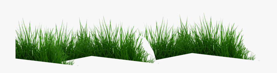 Sweet Grass, Transparent Clipart