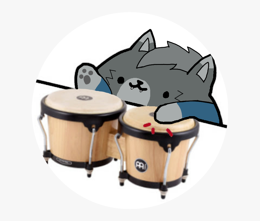 Bongo cam