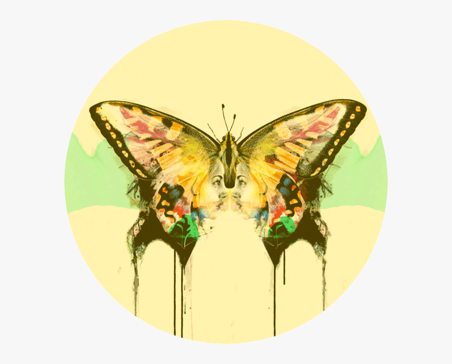 Drawing Spring Butterfly - Swallowtail Butterfly, Transparent Clipart