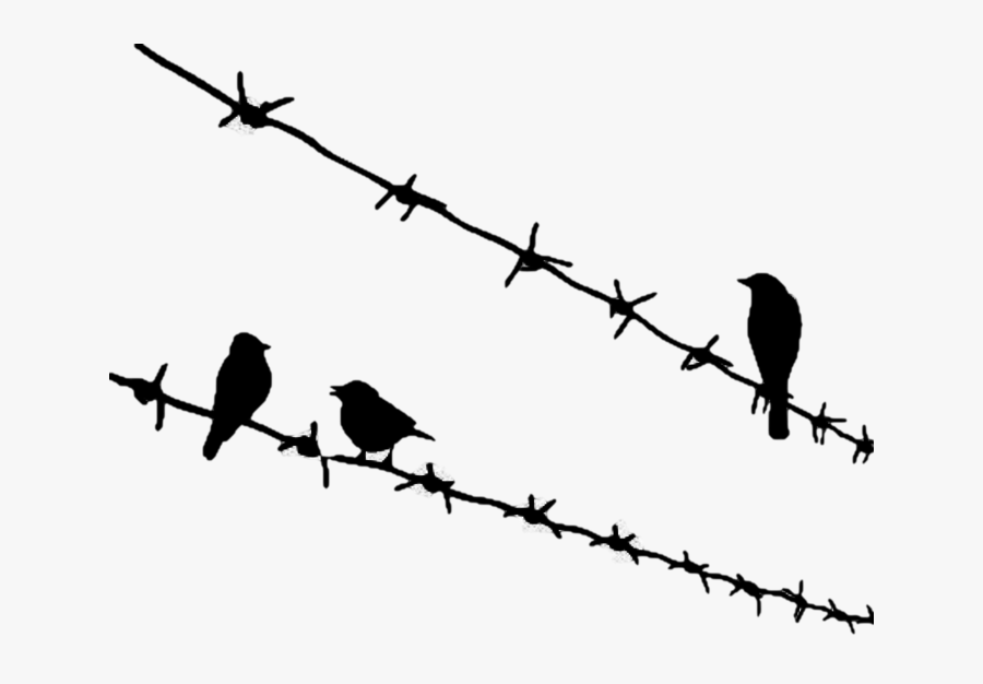 Bird Png Download - Birds Sitting On Wire Tattoo, Transparent Clipart