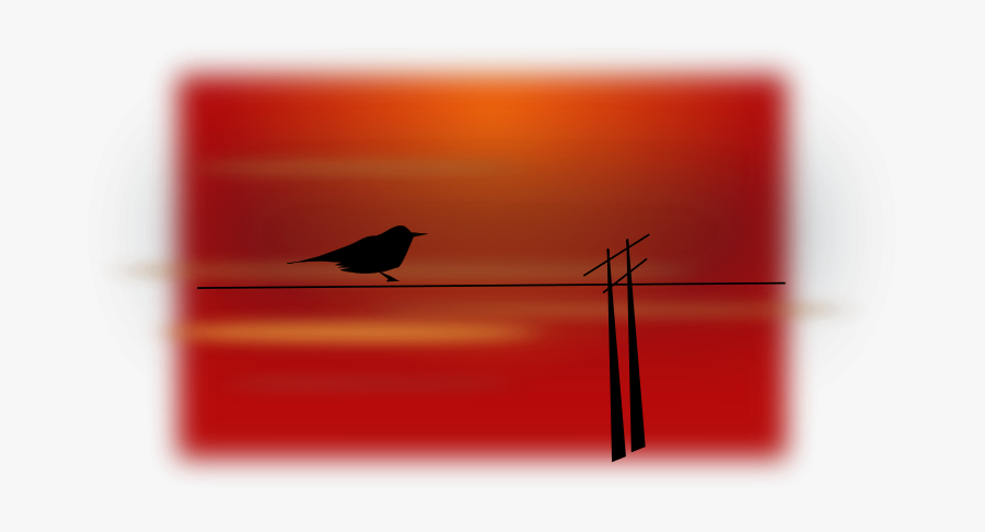 Bird On Wire - Drawing, Transparent Clipart