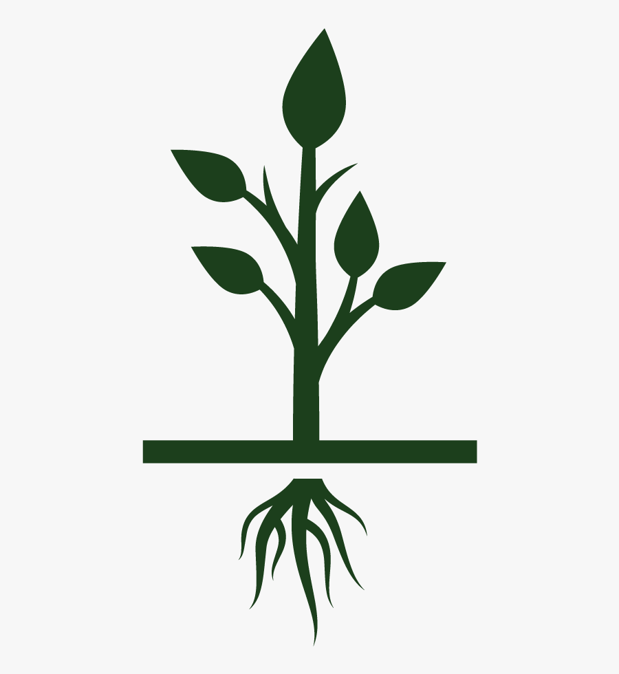 Transparent Cycle Icon Png - Growing Tree Icon Png, Transparent Clipart