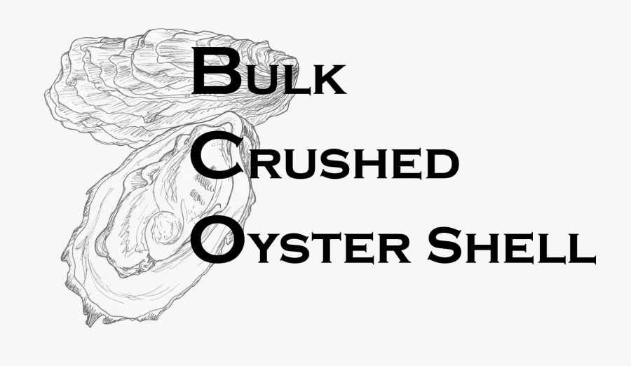 Home Bulk Crushed Shells - Ealing Studios, Transparent Clipart