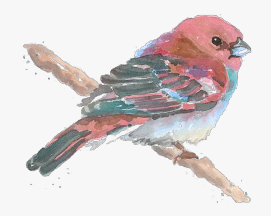 Transparent Watercolor Bird Clipart - Watercolor Bird Png, Transparent Clipart