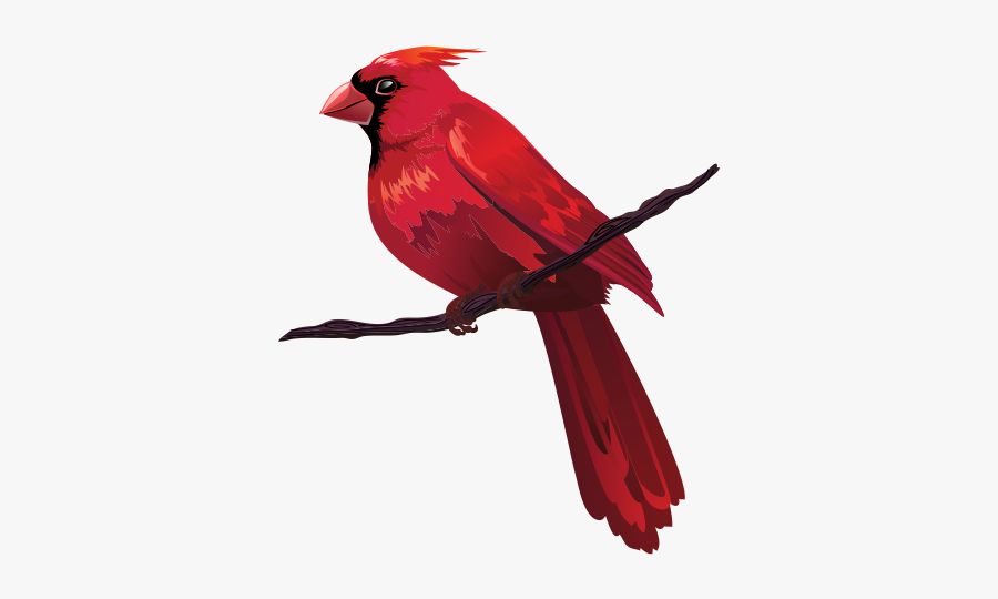 Bird Euclidean Clip Art - Cardinals Clipart Png is a free transparent backg...