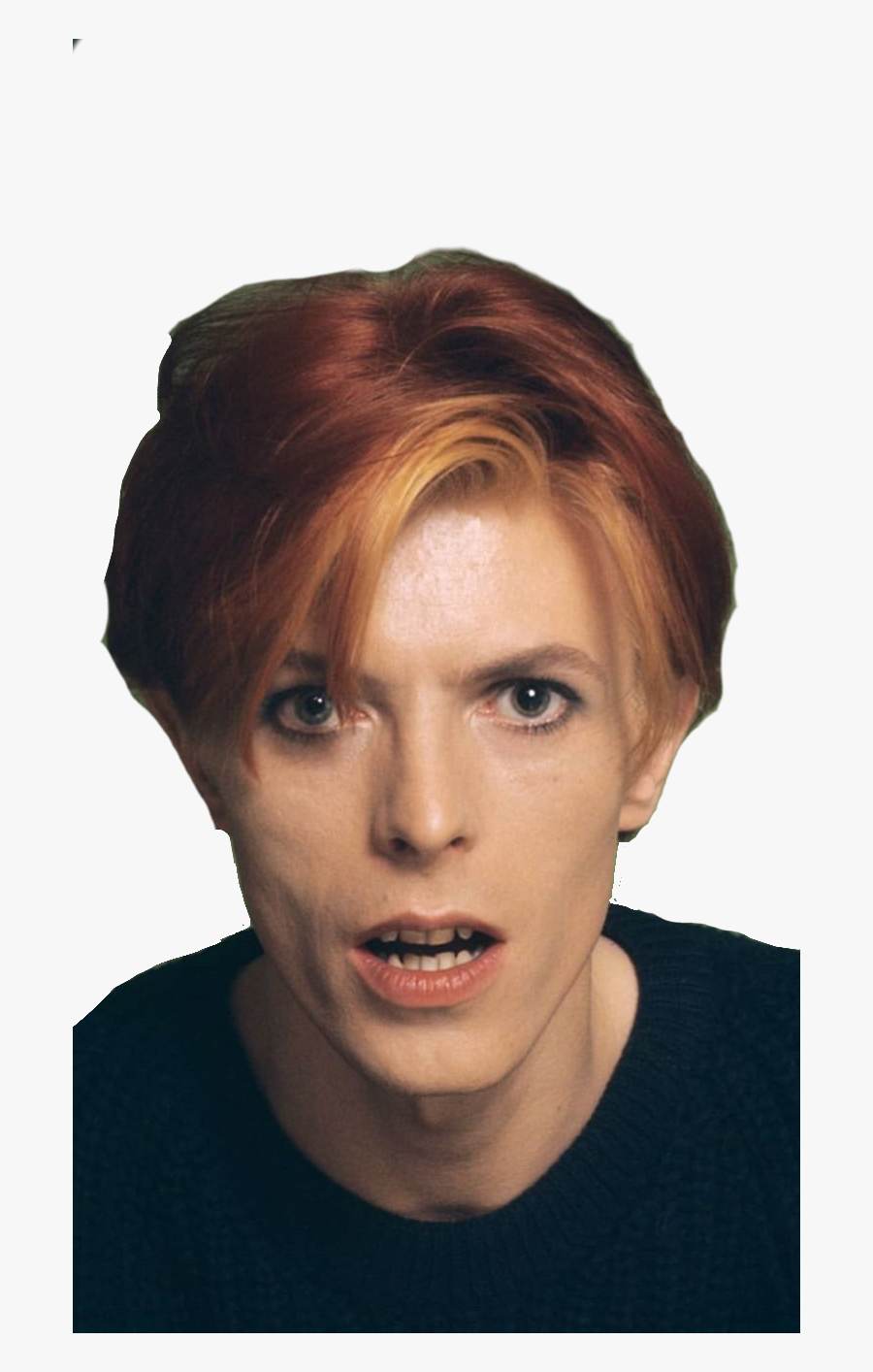 David Bowie, Transparent Clipart