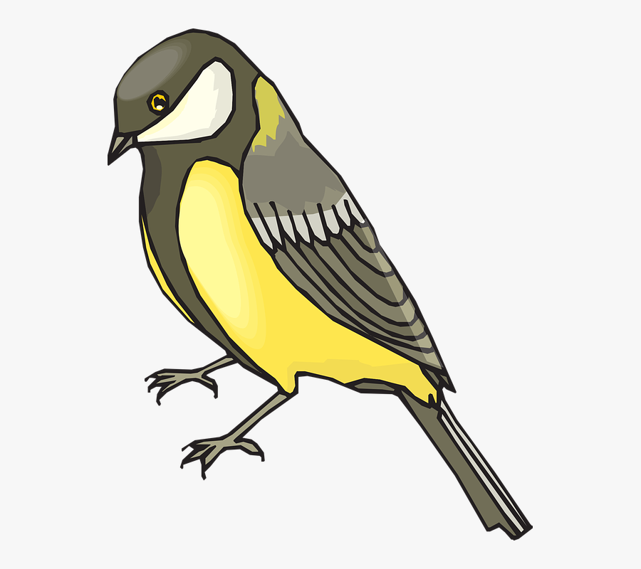 Goldfinch, Bird, Wildlife, Golden, Yellow, Brown, Grey - Goldfinch Clipart, Transparent Clipart
