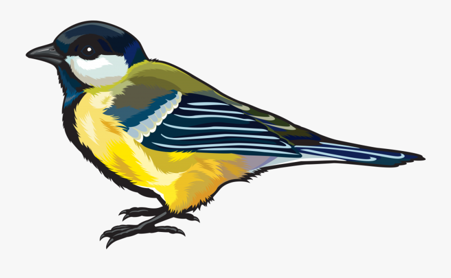 Finch Png Hd - Bird Clipart Hd, Transparent Clipart