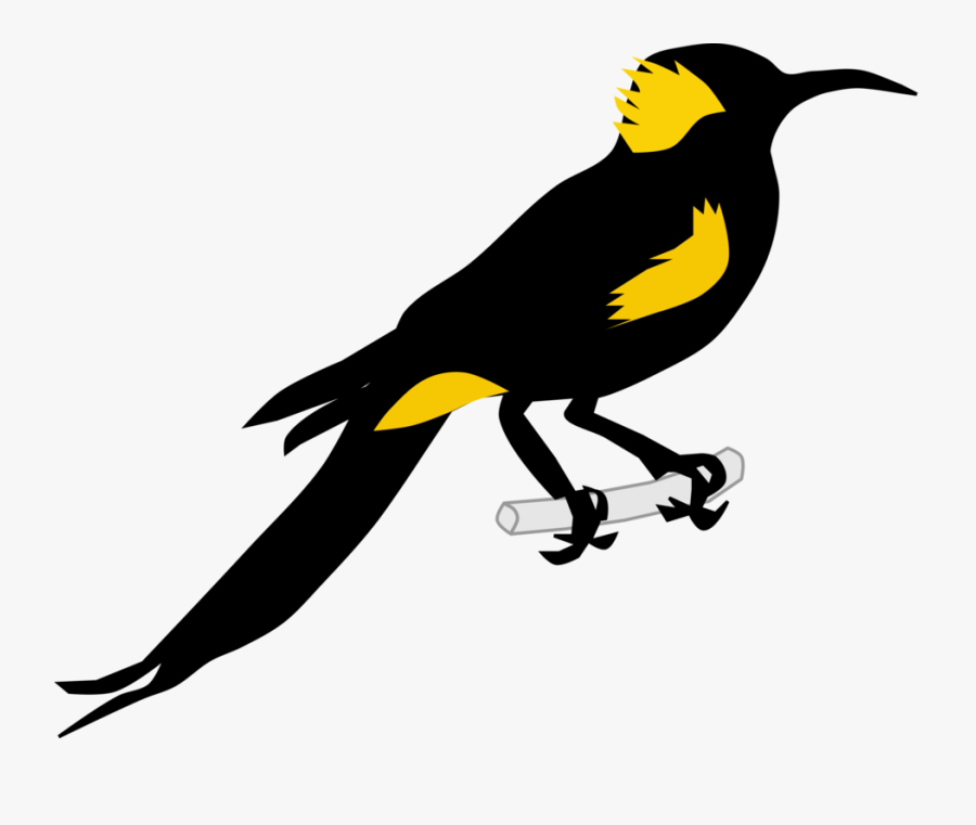 Perching Bird,finch,bird - Illustration, Transparent Clipart