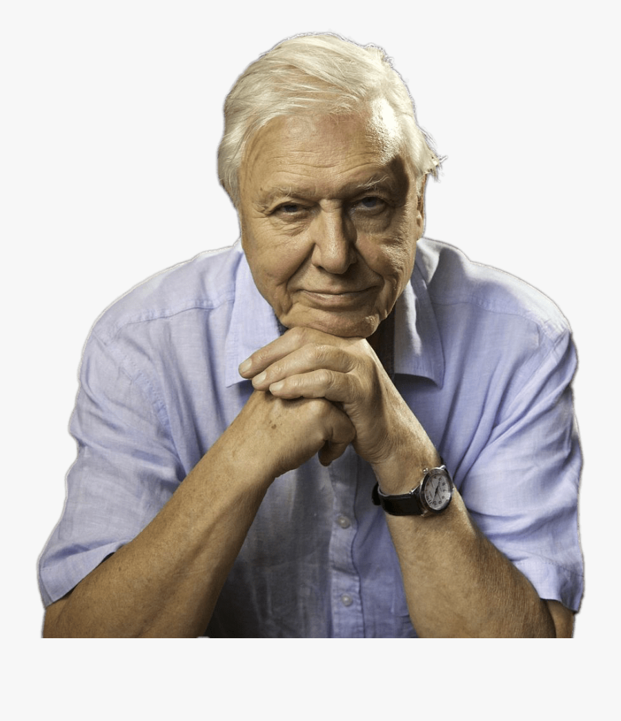 David Attenborough Sitting Png Image - David Attenborough Plastic Quotes, Transparent Clipart