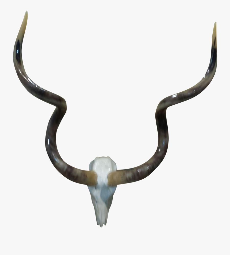 Animal Skulls With Horns Png Download - Horn, Transparent Clipart