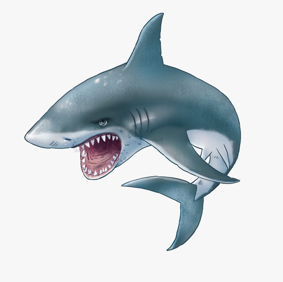 Tiger Shark Shark Face Clipart - Transparent Background Shark Clipart, Transparent Clipart
