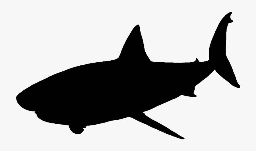 Great White Shark Vector Graphics Portable Network - Great White Shark Silhouette Png, Transparent Clipart