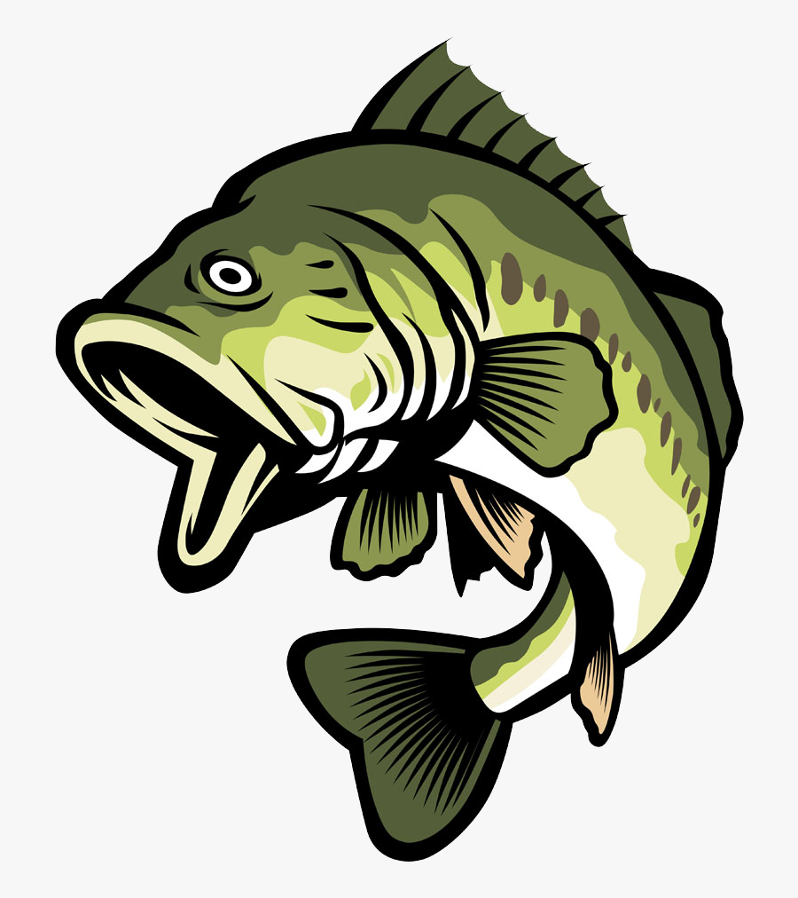 Bass Clipart Cool Cartoon Bass Fish Png Free Transparent Clipart ...