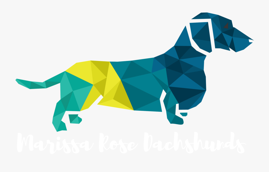 Dachshund Clipart Wiener Dog - Transparent Background Dachshund Clipart, Transparent Clipart