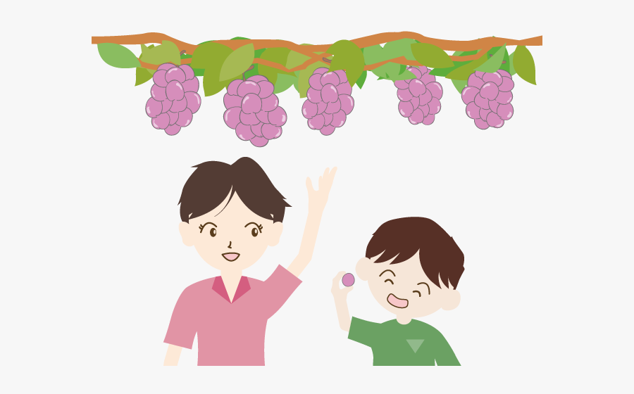 Picking Grapes Clipart, Transparent Clipart