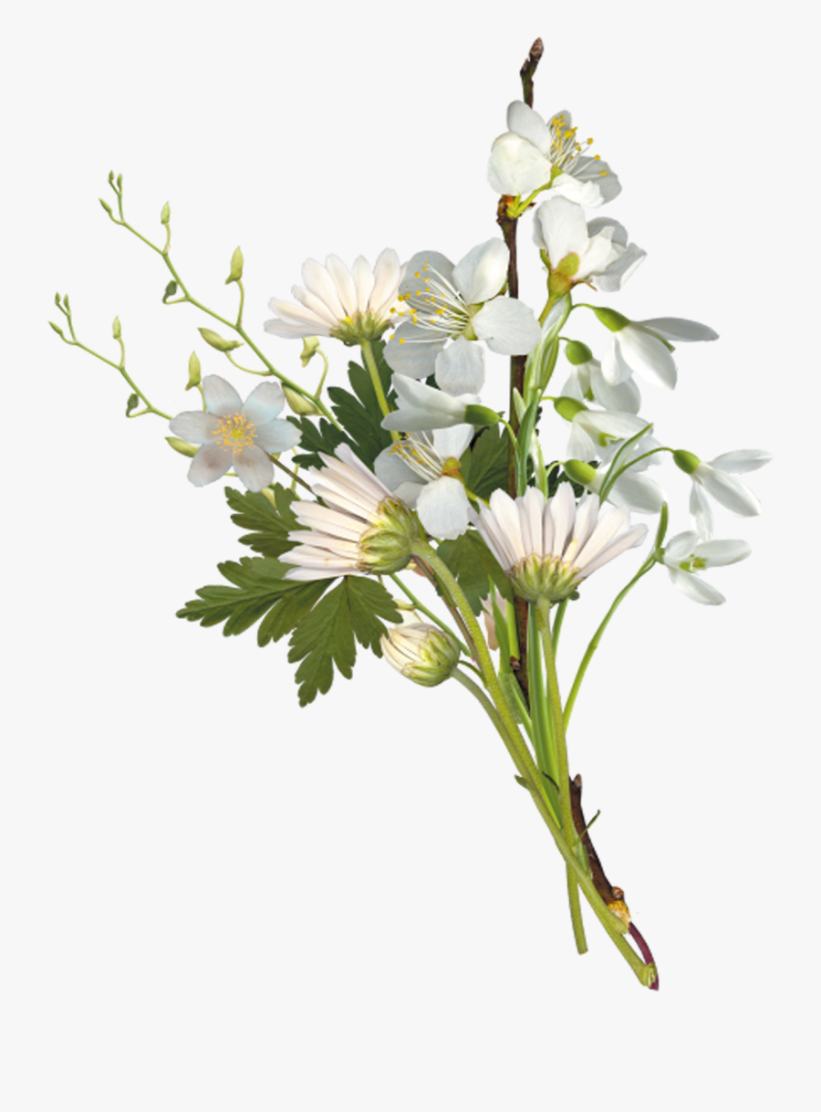 Transparent Small Flower Png - Flower Bouquet On Transparent Background, Transparent Clipart