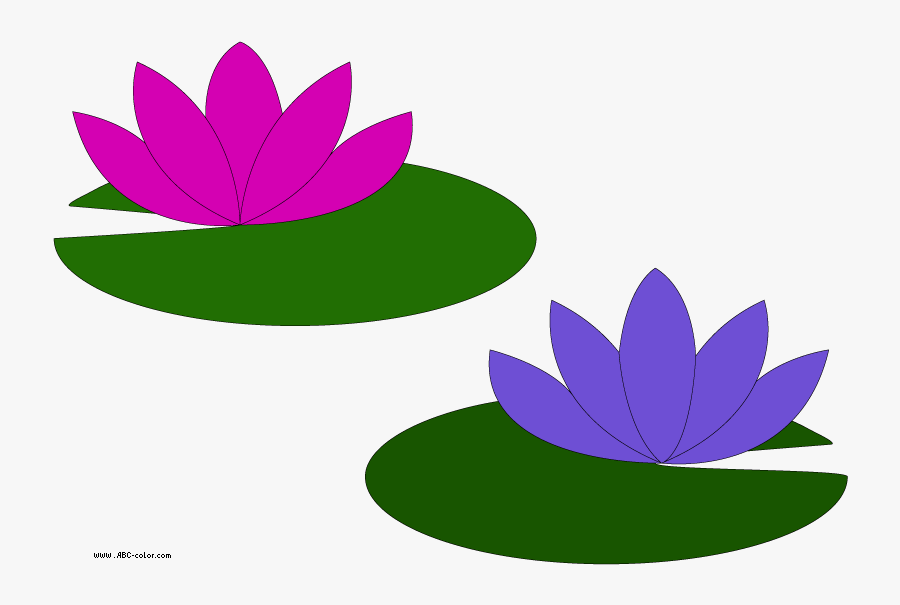 Picture Water Lilies - Cartoon Lily Pad Flower, Transparent Clipart